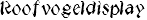 Roofvogeldisplay